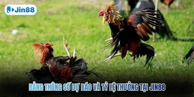 Đá Gà Thomo JIN88 – Quy Tụ 10+ Trận Đấu Mỗi Ngày - hình ảnh - jin88.ec.cc Đá Gà Thomo JIN88 – Quy Tụ 10+ Trận Đấu Mỗi Ngày - hình ảnh - jin88.ec.cc