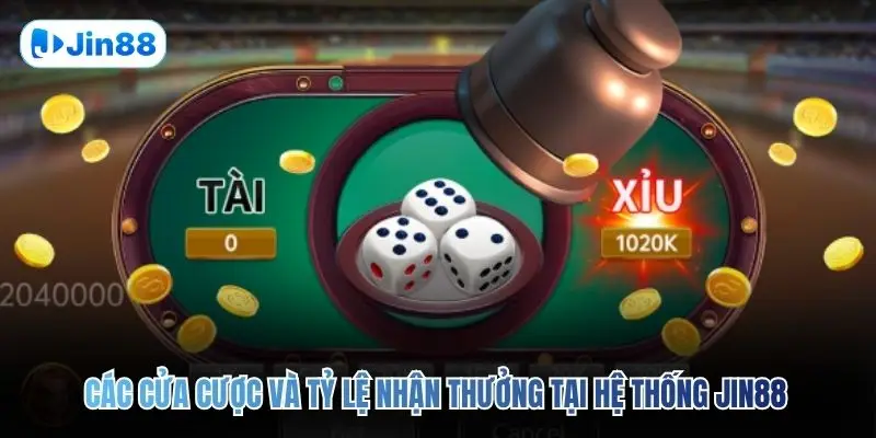 Tài Xỉu JIN88 – Top 5 Bí Quyết Để Về Bờ An Toàn 2026 - hình ảnh - jin88.ec.cc Tài Xỉu JIN88 – Top 5 Bí Quyết Để Về Bờ An Toàn 2026 - hình ảnh - jin88.ec.cc