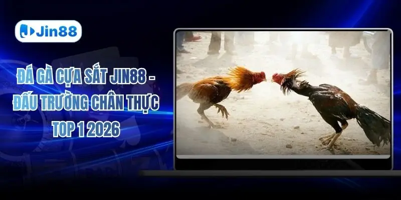 Đá gà JIN88 – jin88hvcam - hình ảnh - jin88.ec.cc
